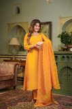 GOLD SHIMMER BANDHEJ SUIT SET