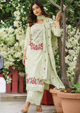 Green Cotton designer suit