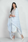POWDER BLUE EMBROIDERED NYRA CUT SUIT